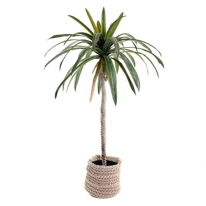 Coolplant Kunst Agave op stam 180 cm