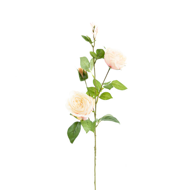 Kunst Rozentak 75 cm wit/roze