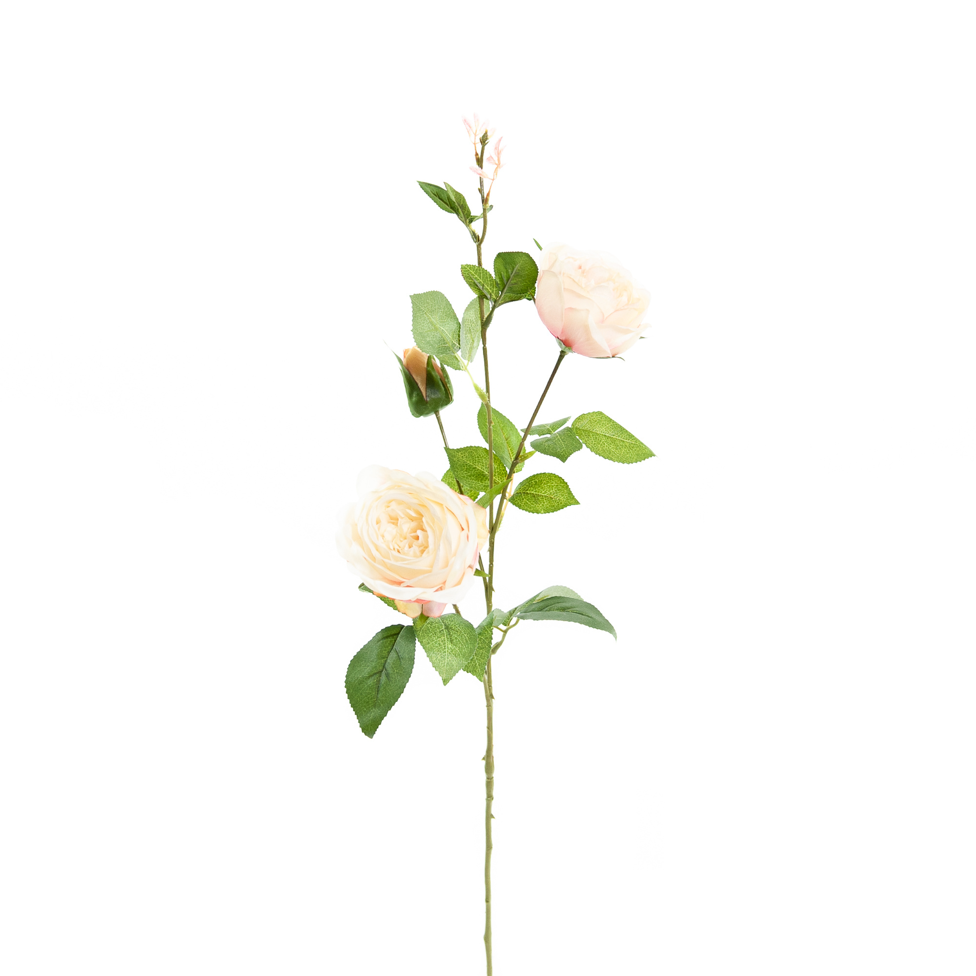 Kunst Rozentak cm wit/roze Coolplant