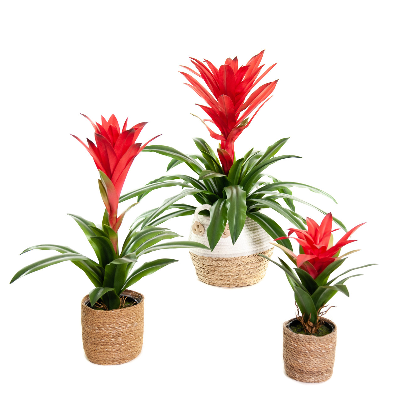 Kunst Bromelia Guzmania 37 cm