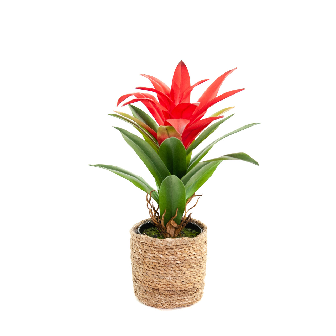 Kunst Bromelia Guzmania 37 cm