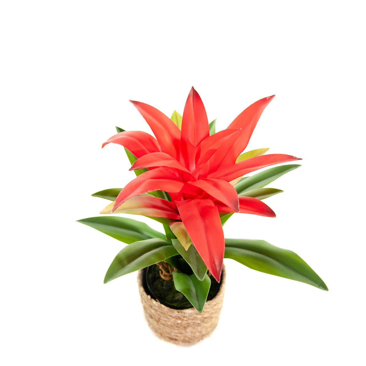 Kunst Bromelie Guzmania 37 cm