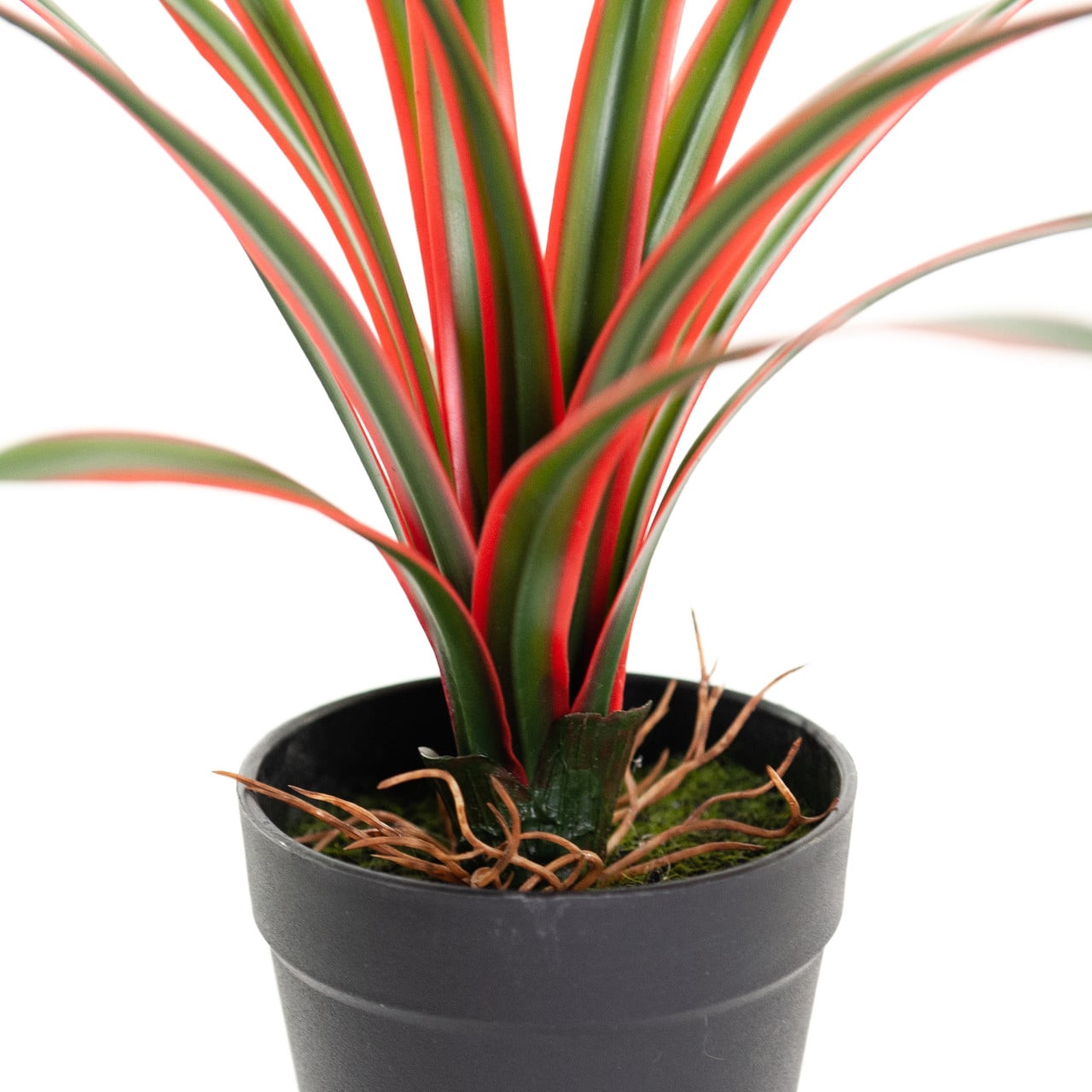 Kunst Dracaena Marginata 28 cm
