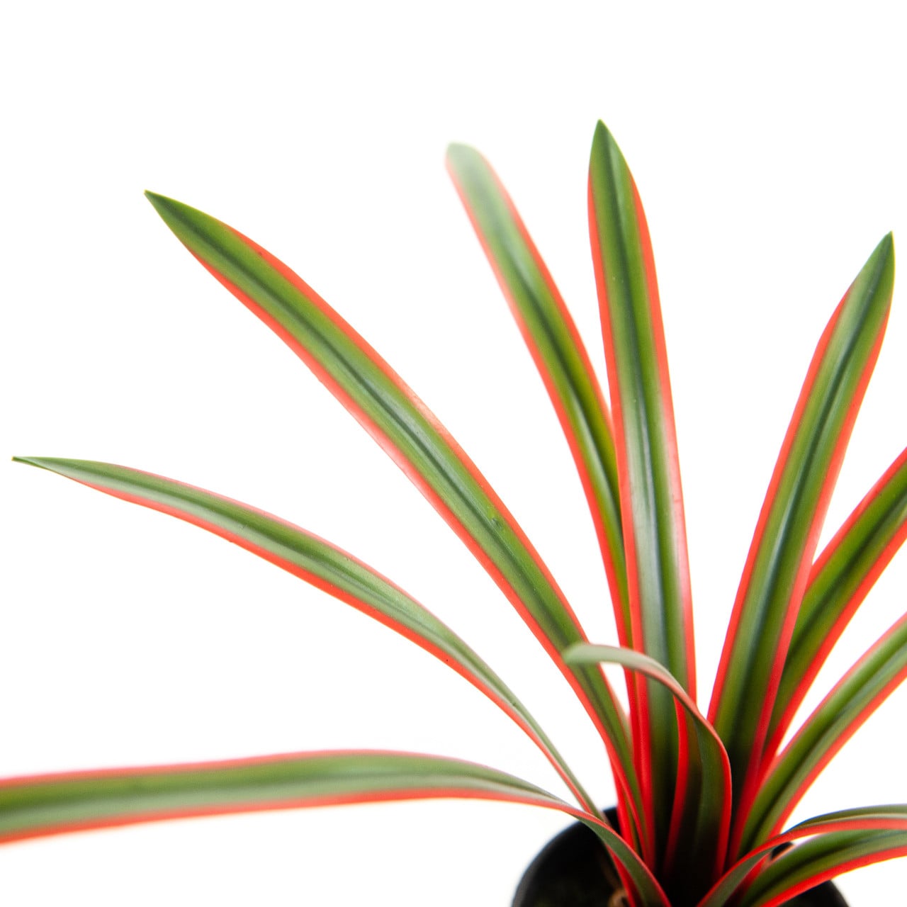 Kunst Dracaena Marginata 28 cm