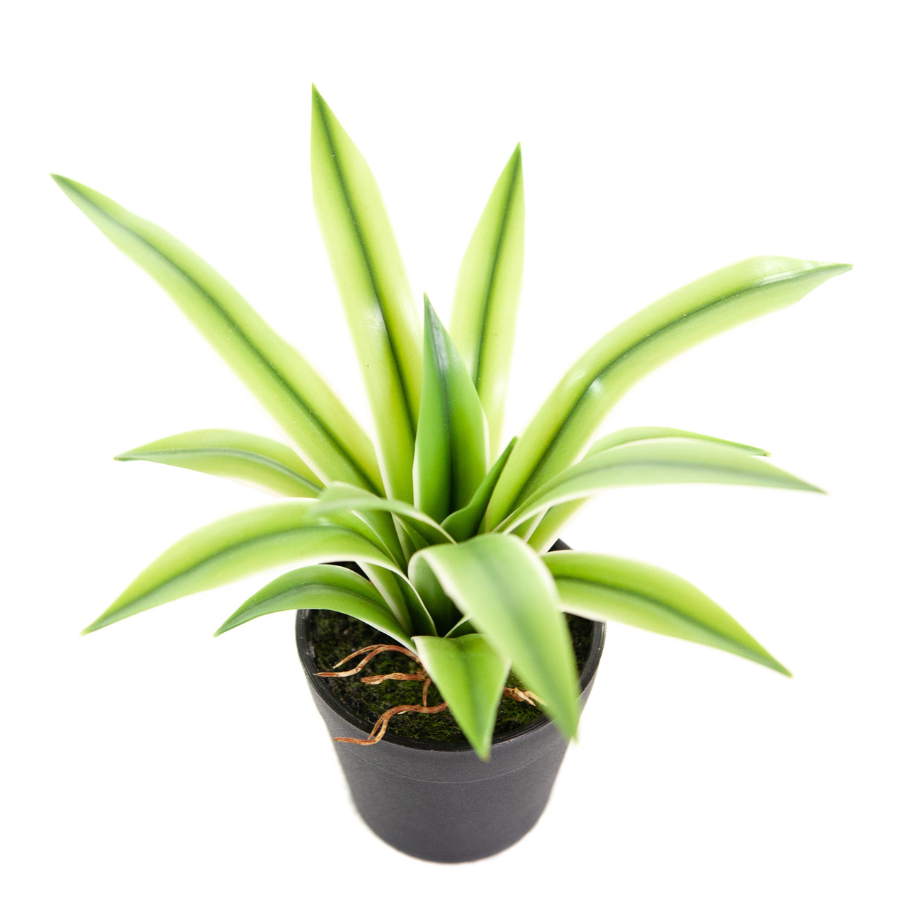 Kunst Mini Maguey Agave bont 18 cm