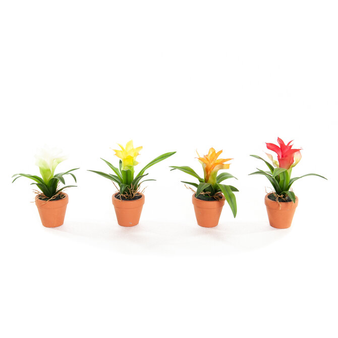Coolplant Kunst Mini Guzmania's 18 cm, set van 4 kleuren