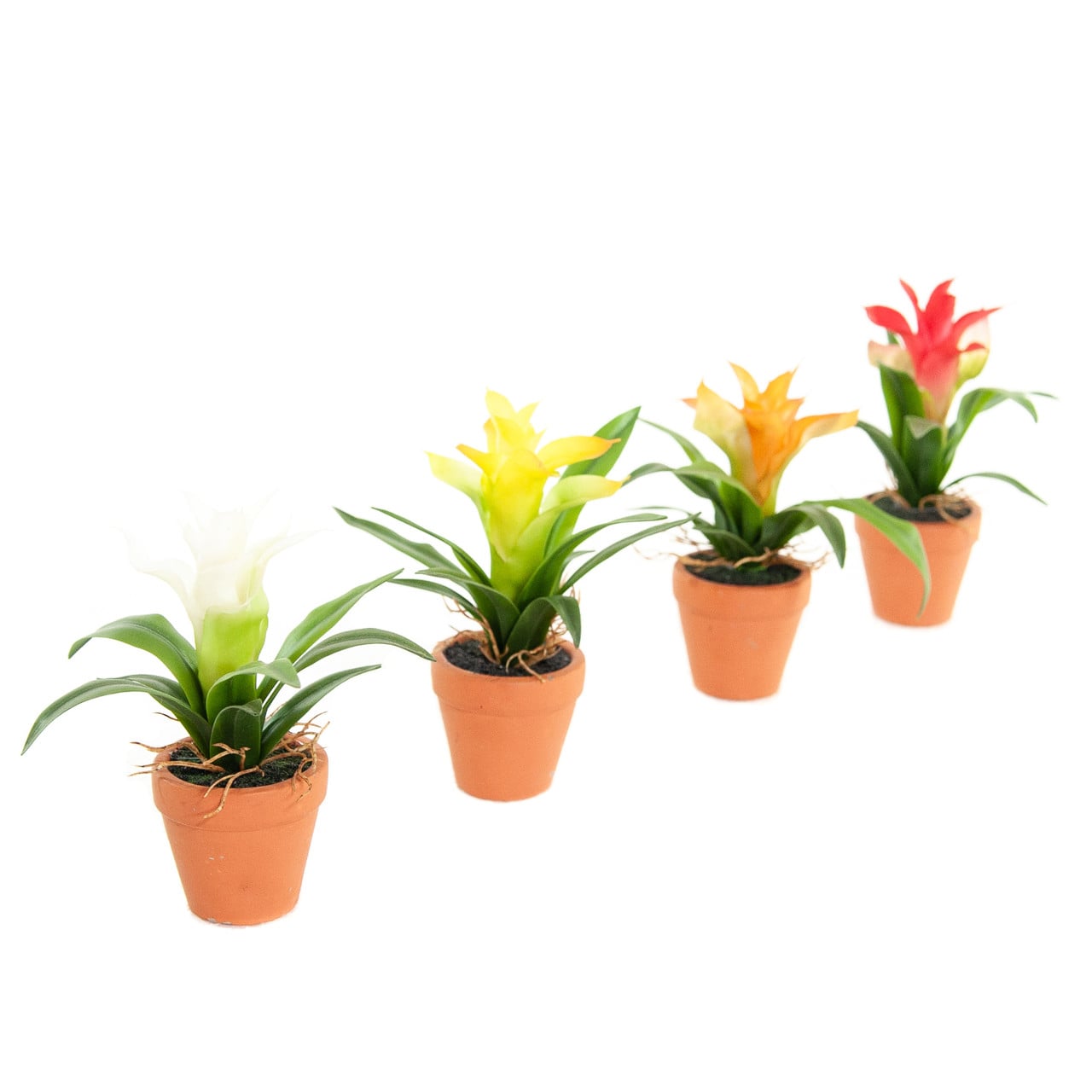 Kunst Mini Guzmania's 18 cm, set van 4 kleuren