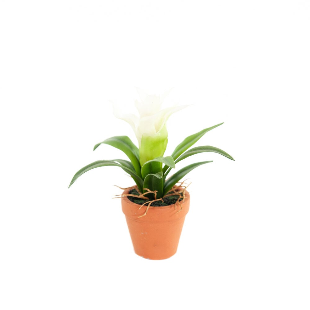 Coolplant Kunst Mini Guzmania wit 18 cm
