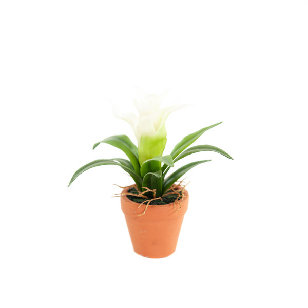 Coolplant Kunst Mini Guzmania wit 18 cm
