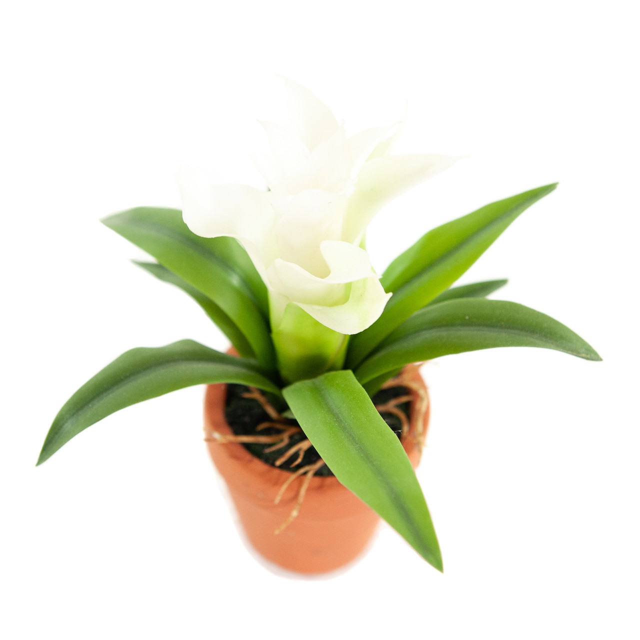 Kunst Mini Guzmania weiß 18 cm