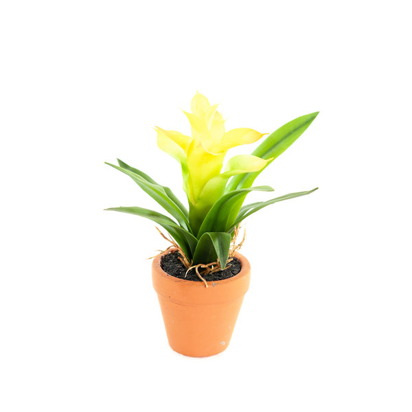 Coolplant Artificial Mini Guzmania yellow 18 cm