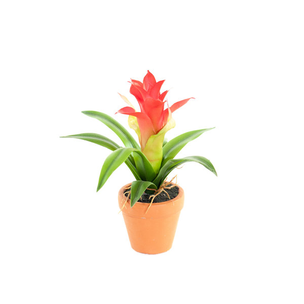 Coolplant Kunst Mini Guzmania rood 18 cm