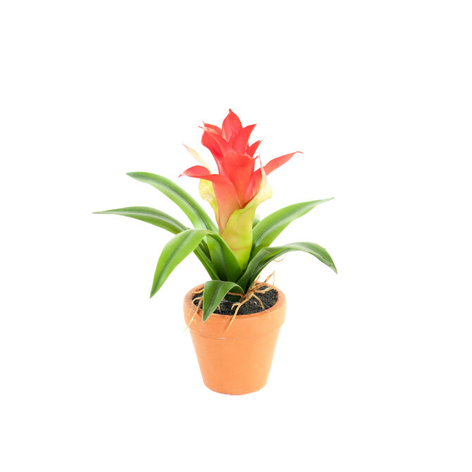 Coolplant Artificial Mini Guzmania red 18 cm