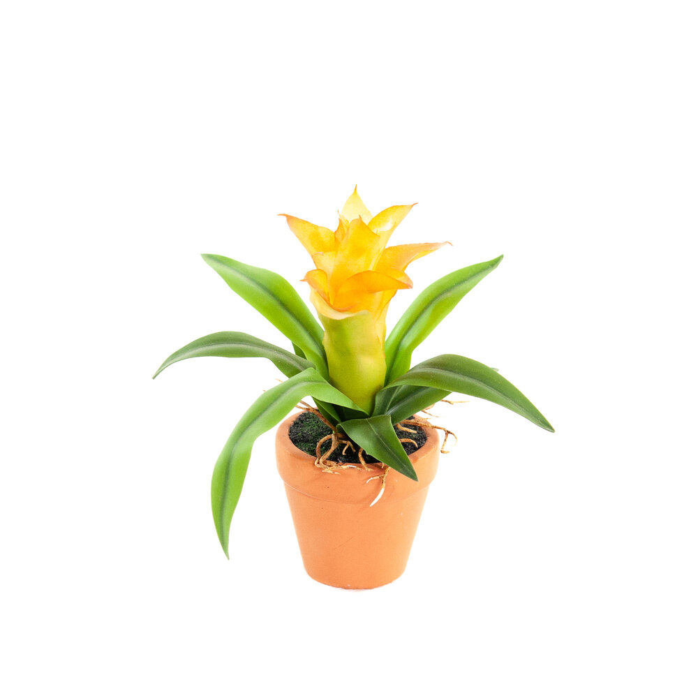 Coolplant Kunst Mini Guzmania oranje 18 cm
