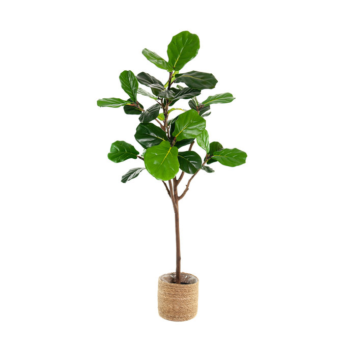 Ficus Lyrata Kunst Ficus Lyrata 150 cm