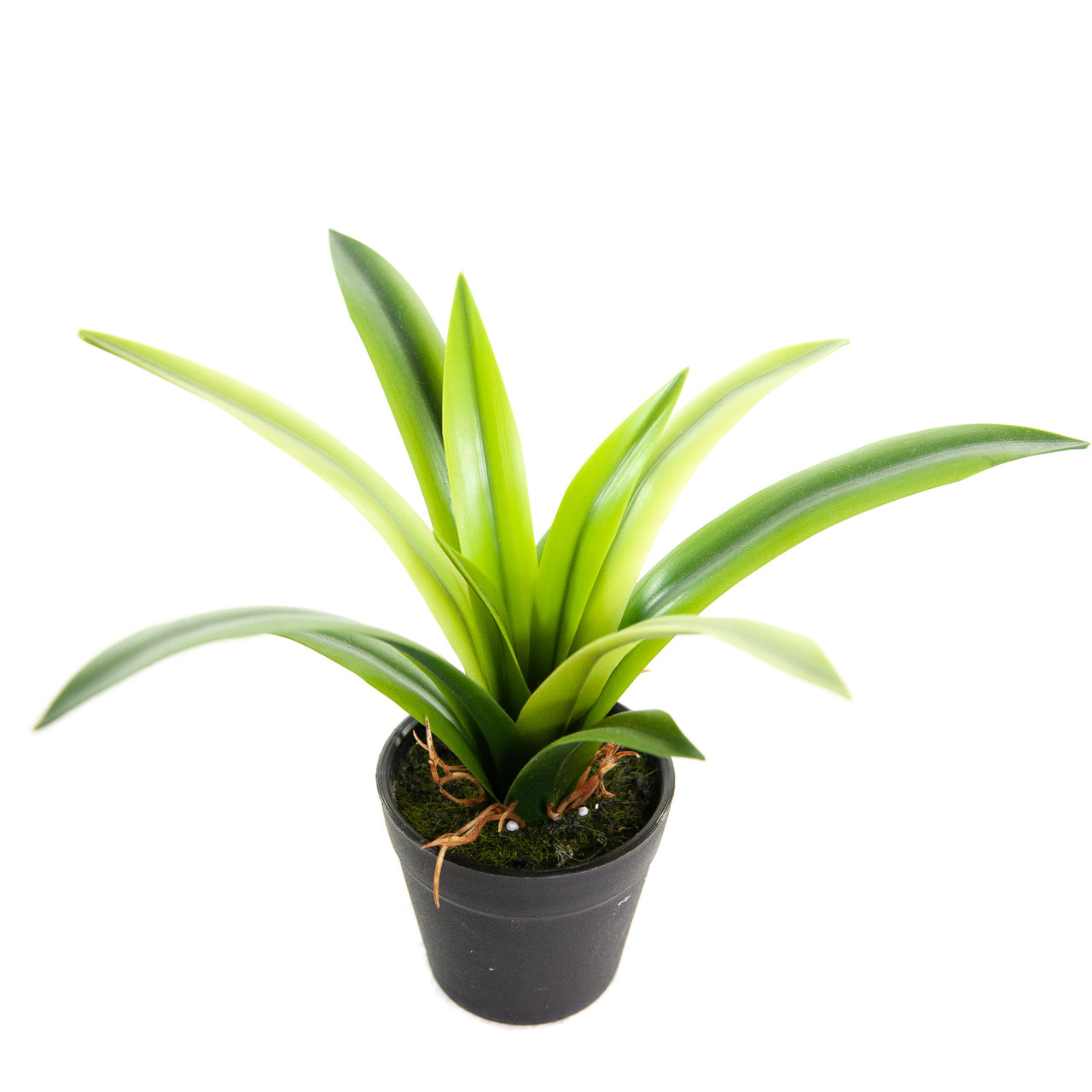 Kunst Mini Maguey Agave 25 cm