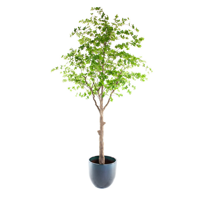 Coolplant Kunst Lenteboom groen 300 cm