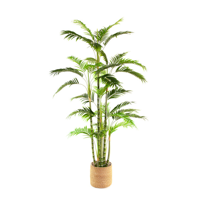 Coolplant Kunst Palm Areca De Luxe 180 cm