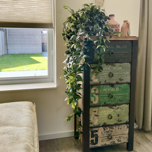 Kleine Kantoorplanten