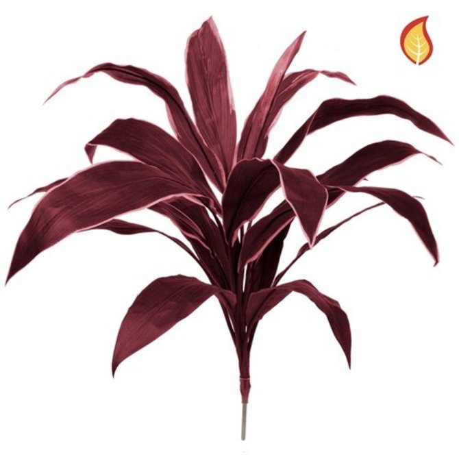 Kunst Dracaena boeket rood 62 cm FR