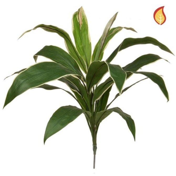 Kunst Dracaena boeket Bont 62 cm FR