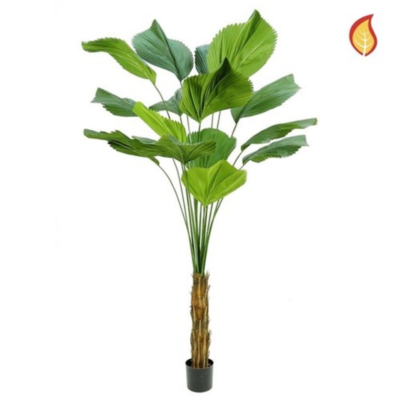 Kunst Palm Licuala Grandis DB 200cm FR