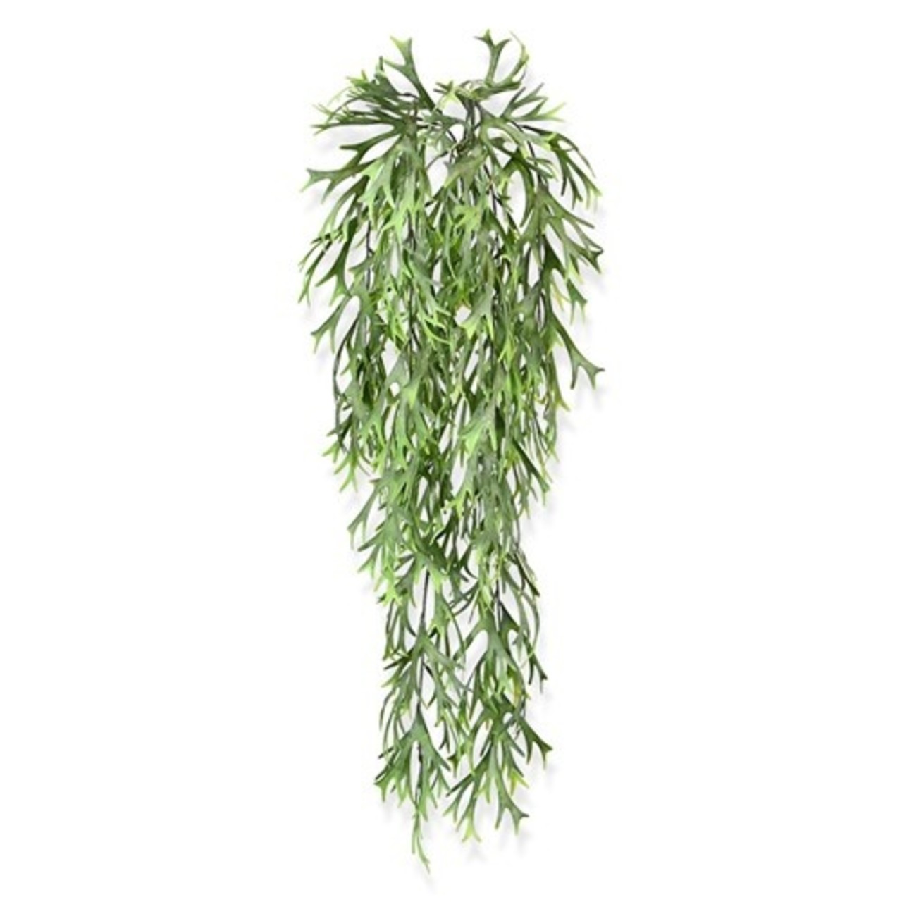 Hertshoorn hangplant 65 cm