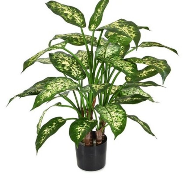 Dieffenbachia deluxe kunstplant 60 cm