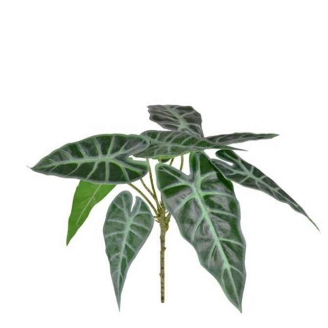 Coolplant Alocasia Polly kunst boeket 30 cm