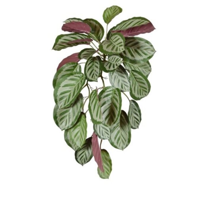 Calathea red Roseopicta kunst hangplant 70 cm