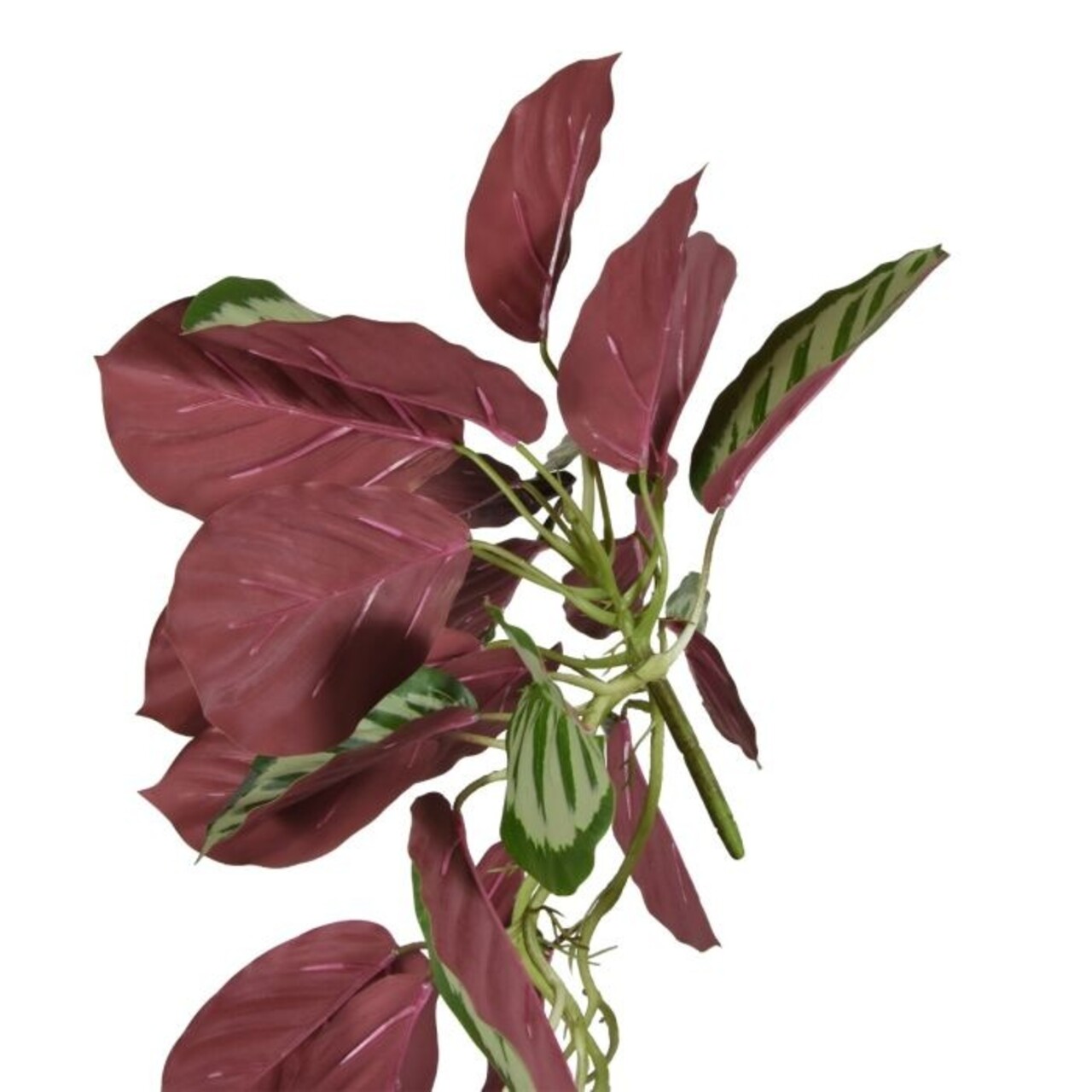Calathea red Roseopicta kunst hangplant 70 cm