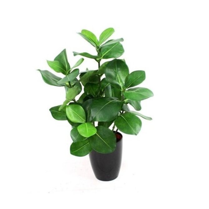 Clusia kunstplant 40 cm in pot 10 cm