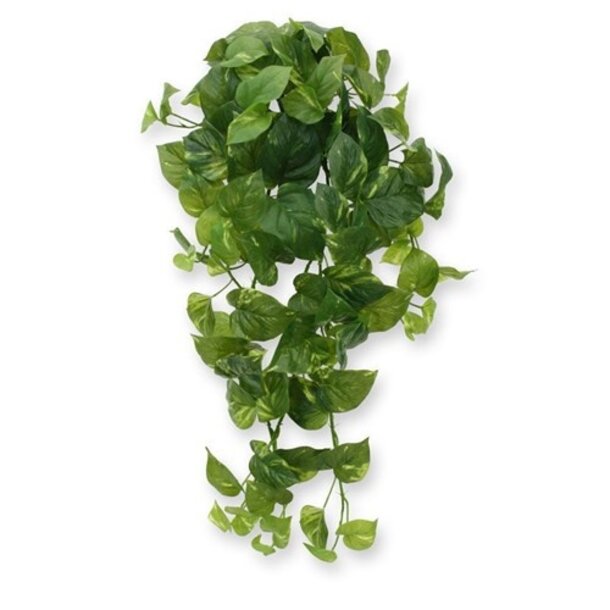Pothos kuns hangplant 80 cm