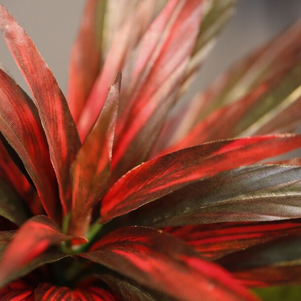 Draceana kunstplant groen-rood 30 cm