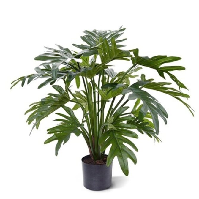 Kunst Philodendron Xanadu 50 cm