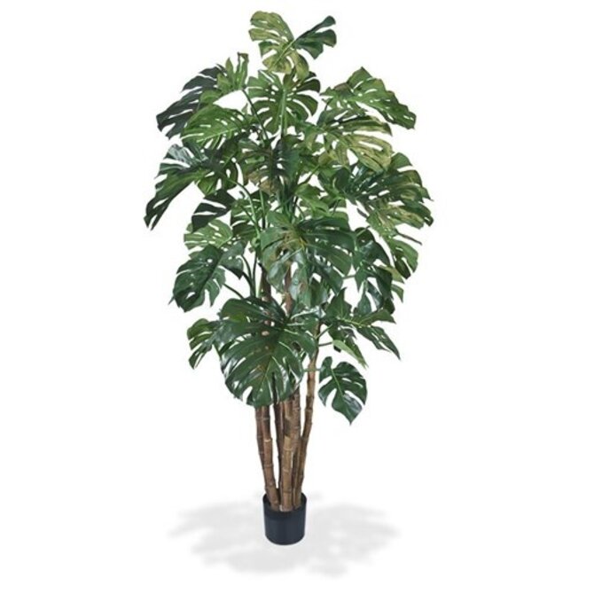 Kunst Monstera de luxe 210 cm