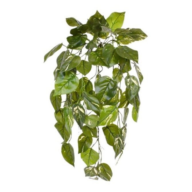 Coolplant Pothos kunst hangplant 70 cm
