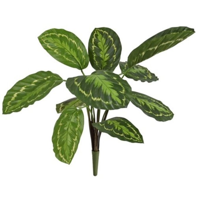Kunstplant Calathea Roseoptica 50 cm