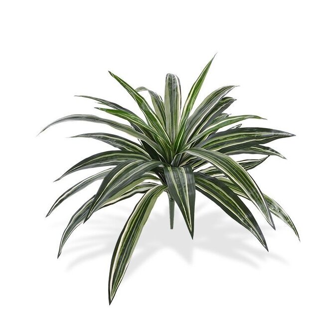Kunstplant Draceana 40 cm - groen/bont