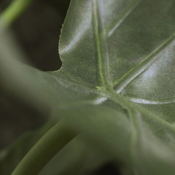 Kunst Alocasia Calidora plant 70 cm FR