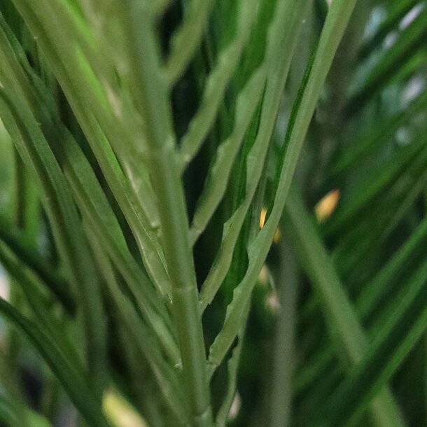 Kunst Areca Palm Deluxe 150 cm
