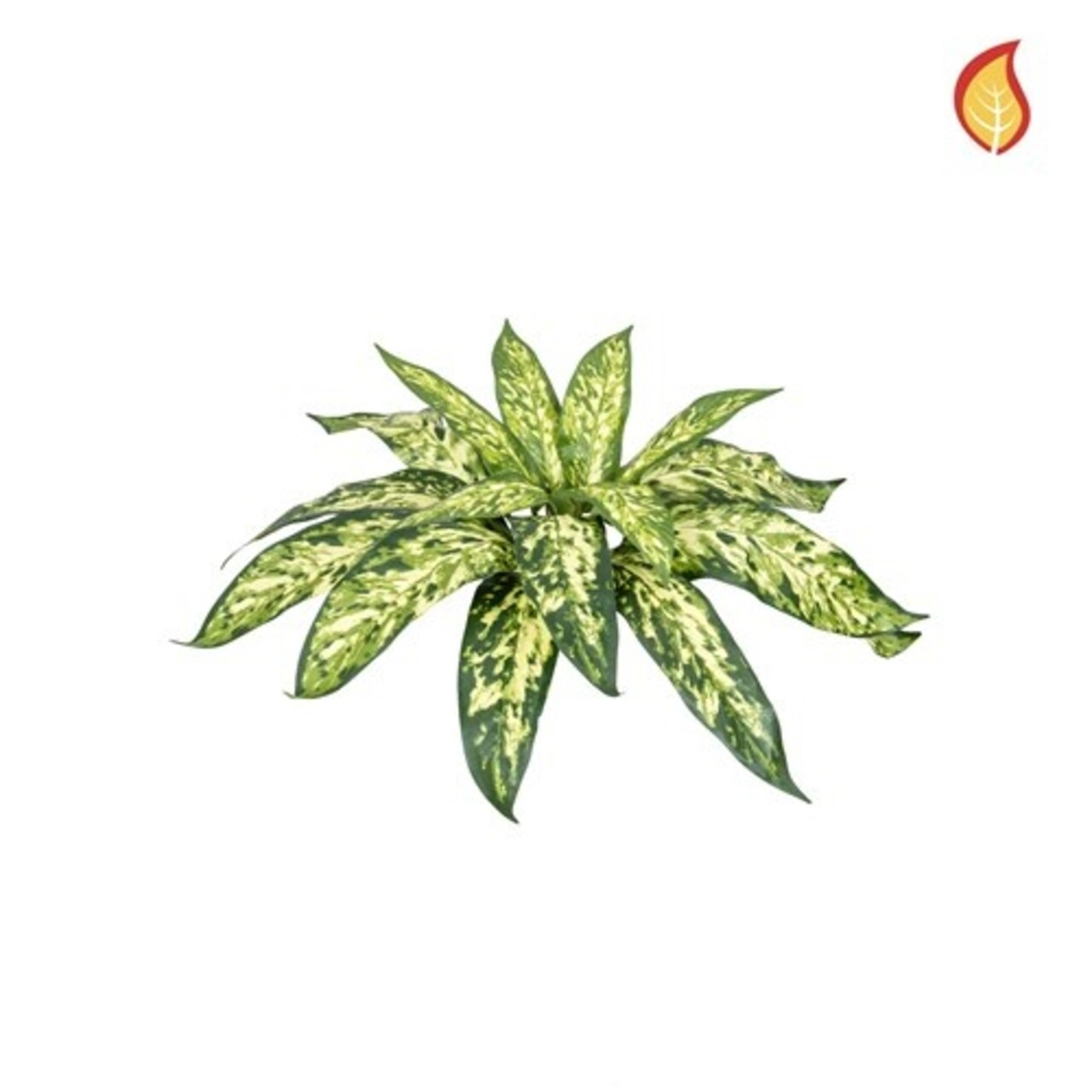 Kunst Aglaonema boeket 37 cm FR