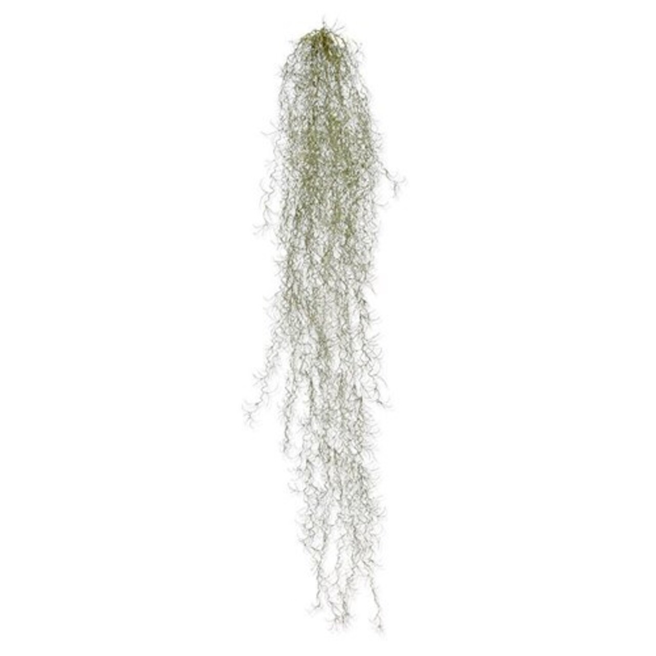 Tillandsia kunsthanger deluxe 120 cm