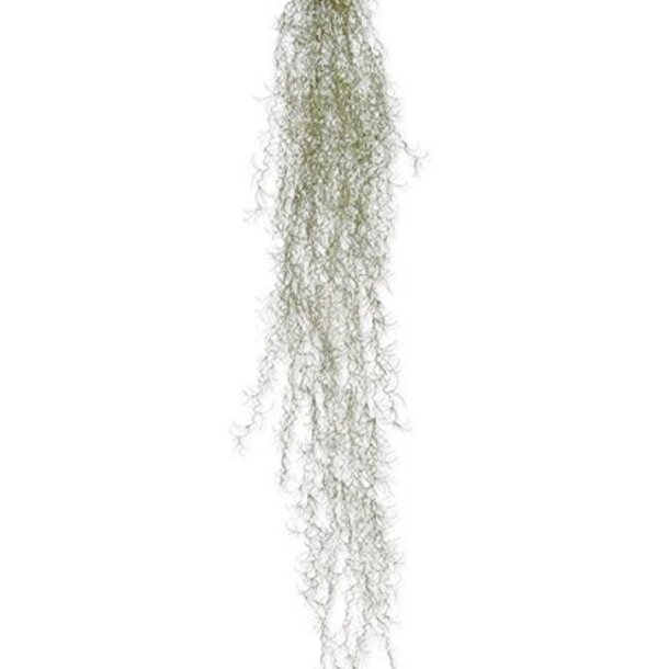 Tillandsia kunsthanger deluxe 120 cm