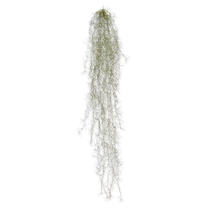 Tillandsia kunsthanger deluxe 120 cm