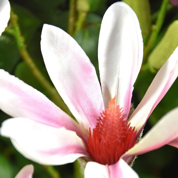 Kunst Magnoliatak 100 cm rose