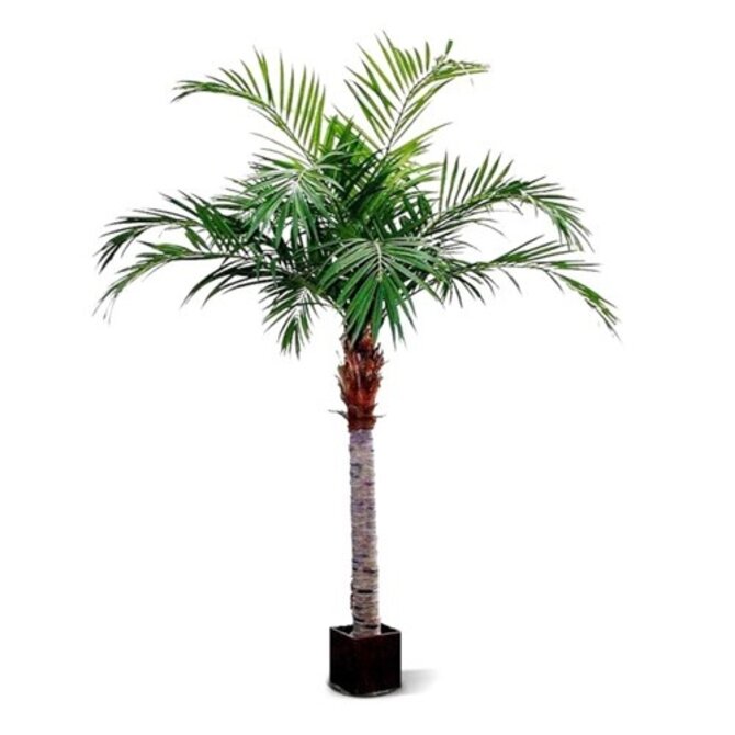 Coolplant Kunst Majesty kunstpalm 350 cm