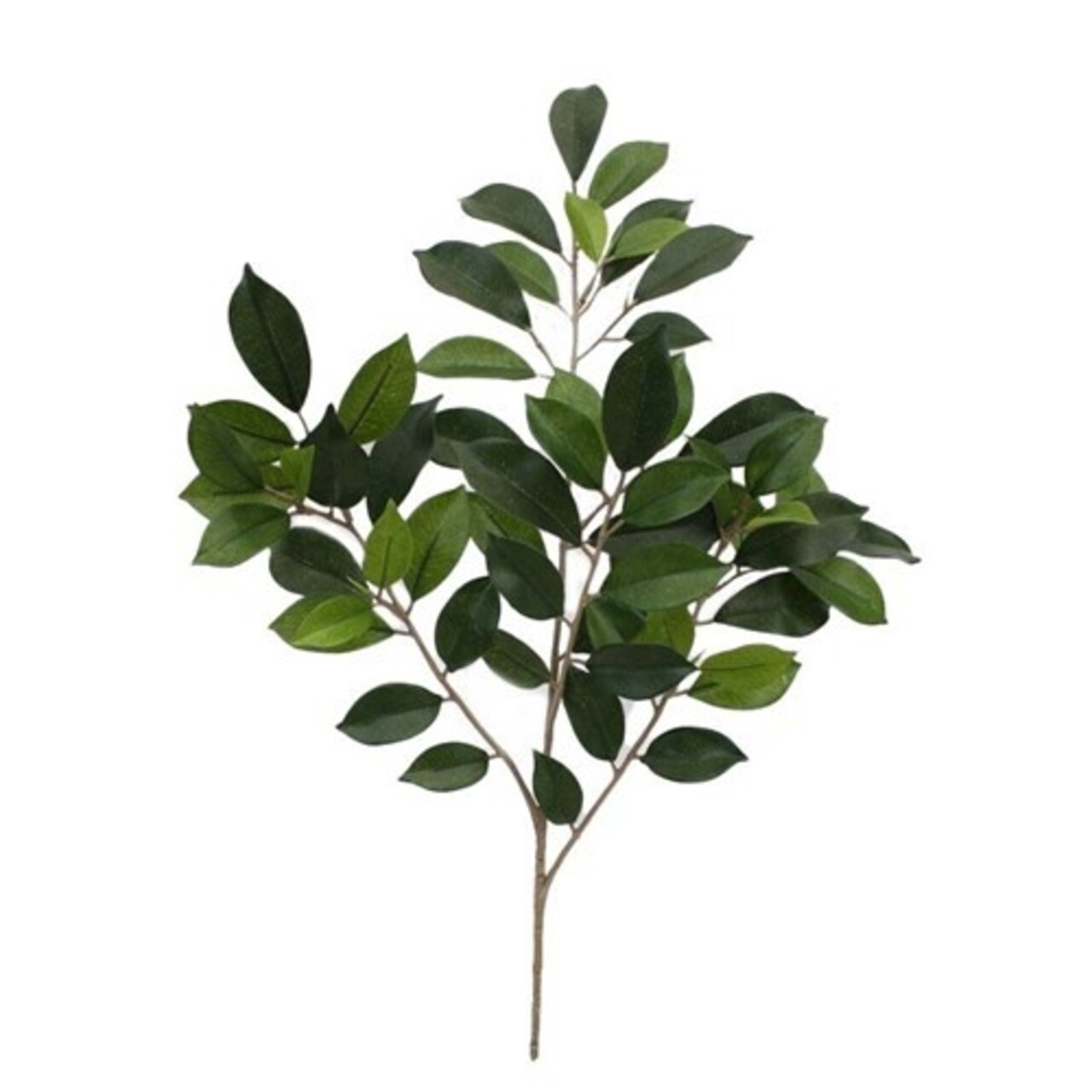 Kunst Ficus Folia Tak - FR