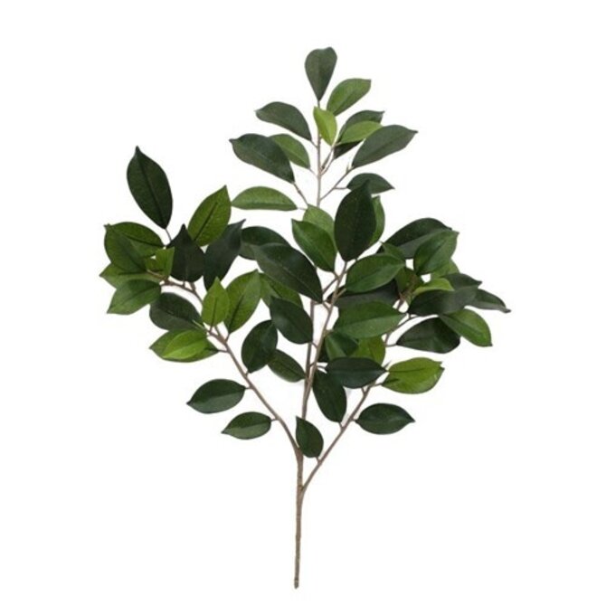 Kunst Ficus Folia Tak - FR