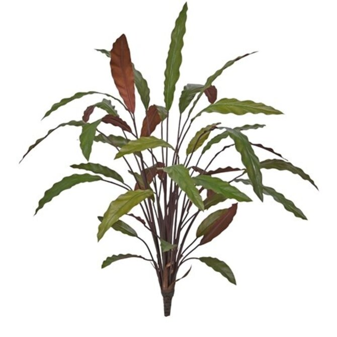Coolplant Kunstboeket Calathea 75 cm groen/rood